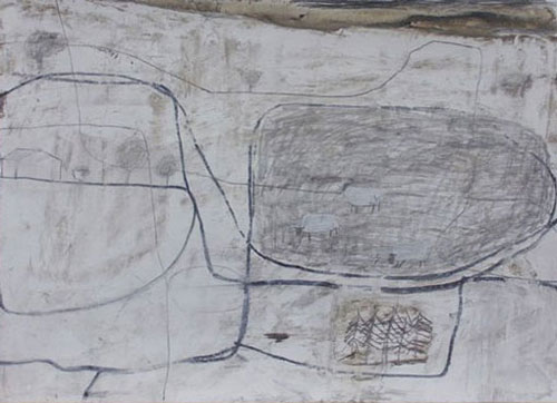 Sheep field, Dartmoor